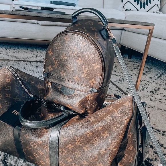 LV Palm Spring Mini - Picture 4 of 15